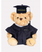 Graduation Bear (Bachelor's Degree)